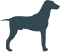 Icoon hond – gezelschapsdieren afdeling adVee Dierenartsen en Aadal Dierenklinieken