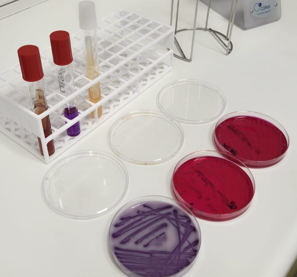 Laboratoriummateriaal met kweekplaten en buisjes in het laboratorium van adVee Dierenartsen
