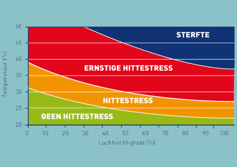 Hitteplan varkens!